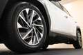 Hyundai TUCSON Tucson 1.6 CRDI 48V DCT XLine Blanc - thumbnail 5