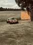 Wiesmann MF 3 Braun - thumbnail 10