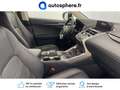 Lexus NX 300h 300h 4WD Executive - thumbnail 15