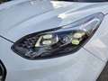 Kia Sportage Sportage 1.6 CRDI 115 CV 2WD Mild Hybrid Energy Weiß - thumbnail 25