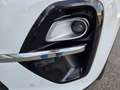Kia Sportage Sportage 1.6 CRDI 115 CV 2WD Mild Hybrid Energy Weiß - thumbnail 26