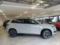 Skoda Karoq 1.5 TSI DSG Sportline AHK/Navi/EasyOpen/ACC/Kamera Gris - thumbnail 3