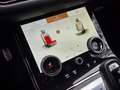 Land Rover Range Rover Evoque 2.0T MHEV 4WD P250 R-Dynamic | PANO | ROSEGOLD Negro - thumbnail 21