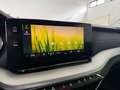 Skoda Octavia Combi 2.0 TDI Style LED/ACC/AHK/SHZ/Navi Bianco - thumbnail 23