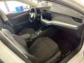 Skoda Octavia Combi 2.0 TDI Style LED/ACC/AHK/SHZ/Navi Bianco - thumbnail 9