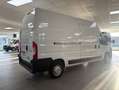 Citroen Jumper BlueHDi 103KW (140CV) Furgón 35L3H3 Blanco - thumbnail 15