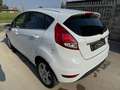 Ford Fiesta Fiesta 5p 1.4 Black Bianco - thumbnail 4