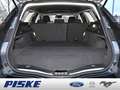 Ford Mondeo Titanium FHEV SHZ KAMERA NAVI LED PANO Grau - thumbnail 21