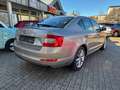 Skoda Octavia III 1.4 TSI Elegance+Bi-Xenon+AHK+1.HAND Beige - thumbnail 6