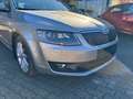 Skoda Octavia III 1.4 TSI Elegance+Bi-Xenon+AHK+1.HAND Beige - thumbnail 4