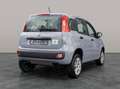 Fiat Panda ‼️ 10.000 km / 0.9 T + CNG Azul - thumbnail 6