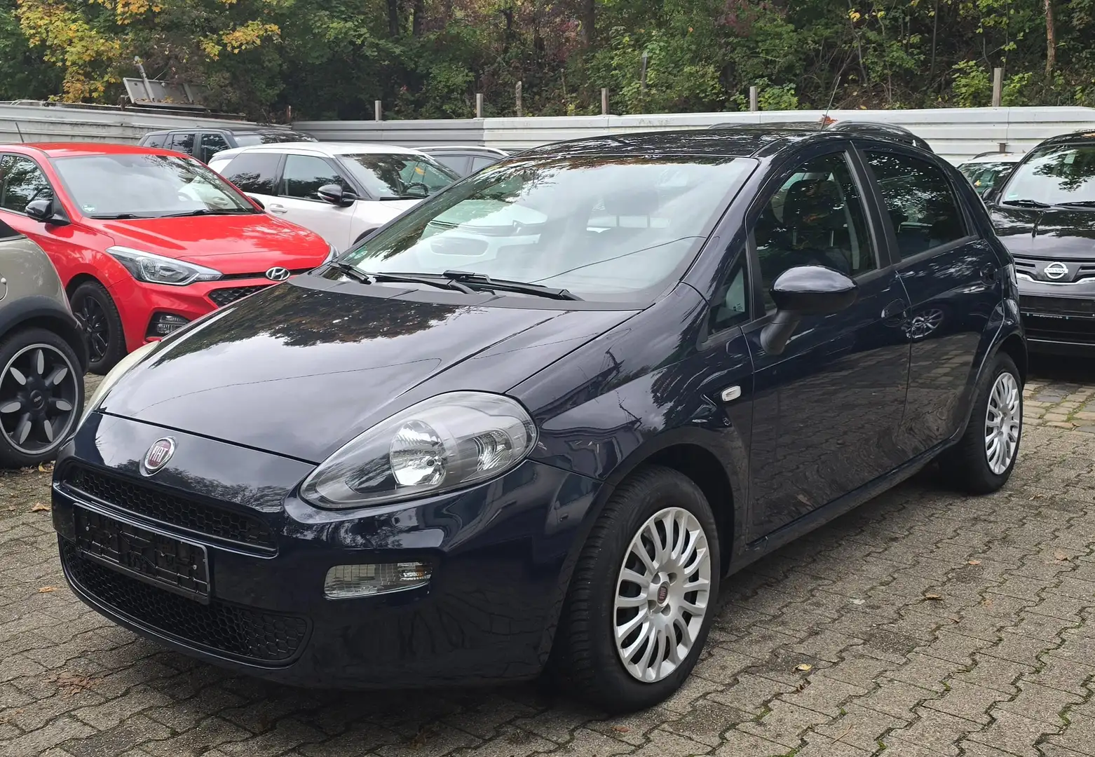 Fiat Punto Pop,Euro 5,Klima Erste Hand. Blau - 1