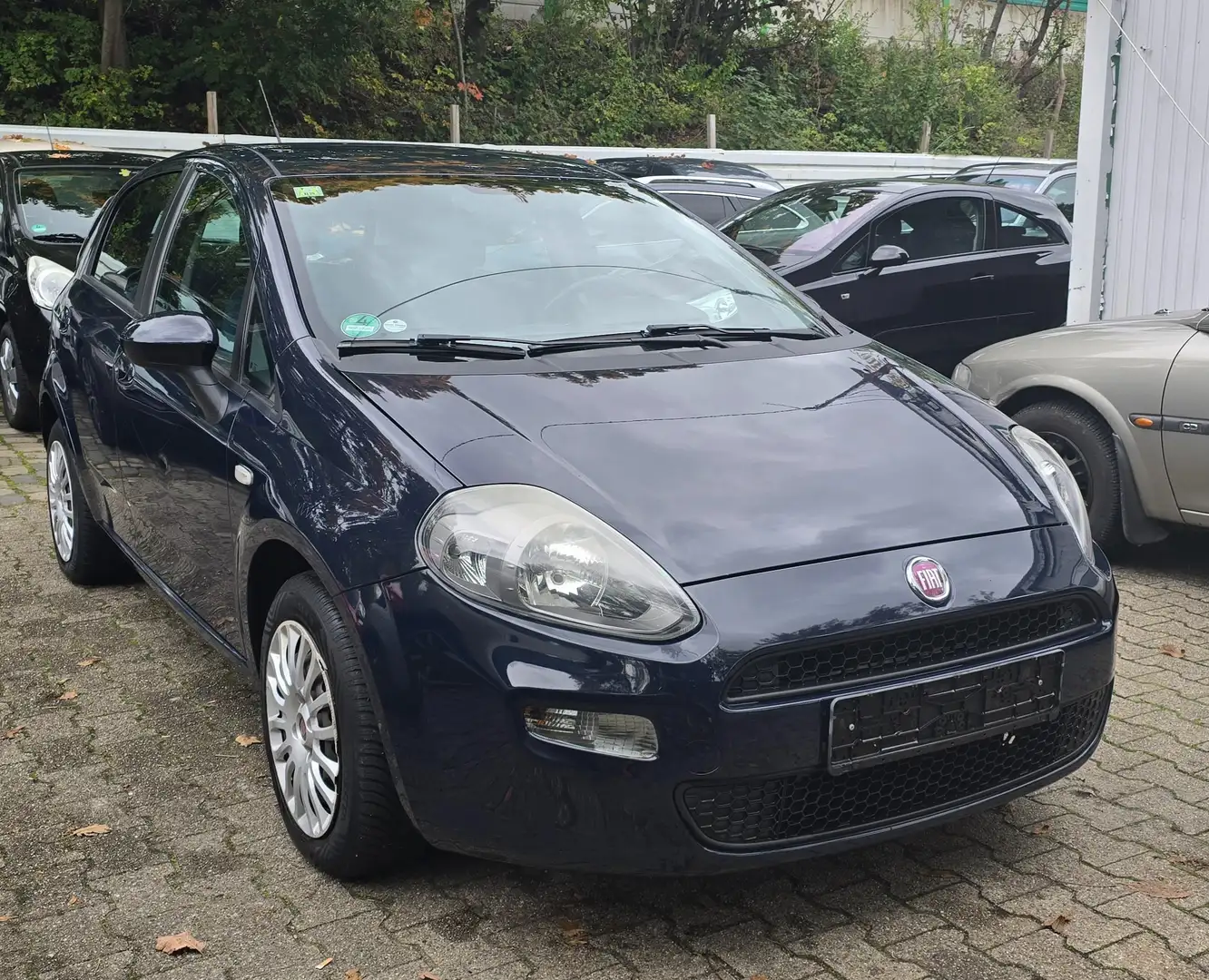 Fiat Punto Pop,Euro 5,Klima Erste Hand. Blau - 2