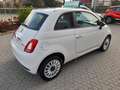Fiat 500 500 1.0 hybrid Dolcevita 70cv Bianco - thumbnail 3