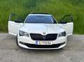 Skoda Superb Superb Kombi 2,0 TDI Sportline DSG Sportline Weiß - thumbnail 15