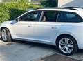 Skoda Superb Superb Kombi 2,0 TDI Sportline DSG Sportline Weiß - thumbnail 9