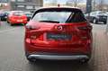 Mazda CX-5 Newground AWD, NAVI, 360°, KLIMA Rot - thumbnail 5