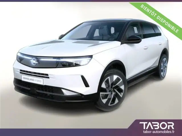 Opel Grandland Hybrid AUT GS Pack Tech HUD cam