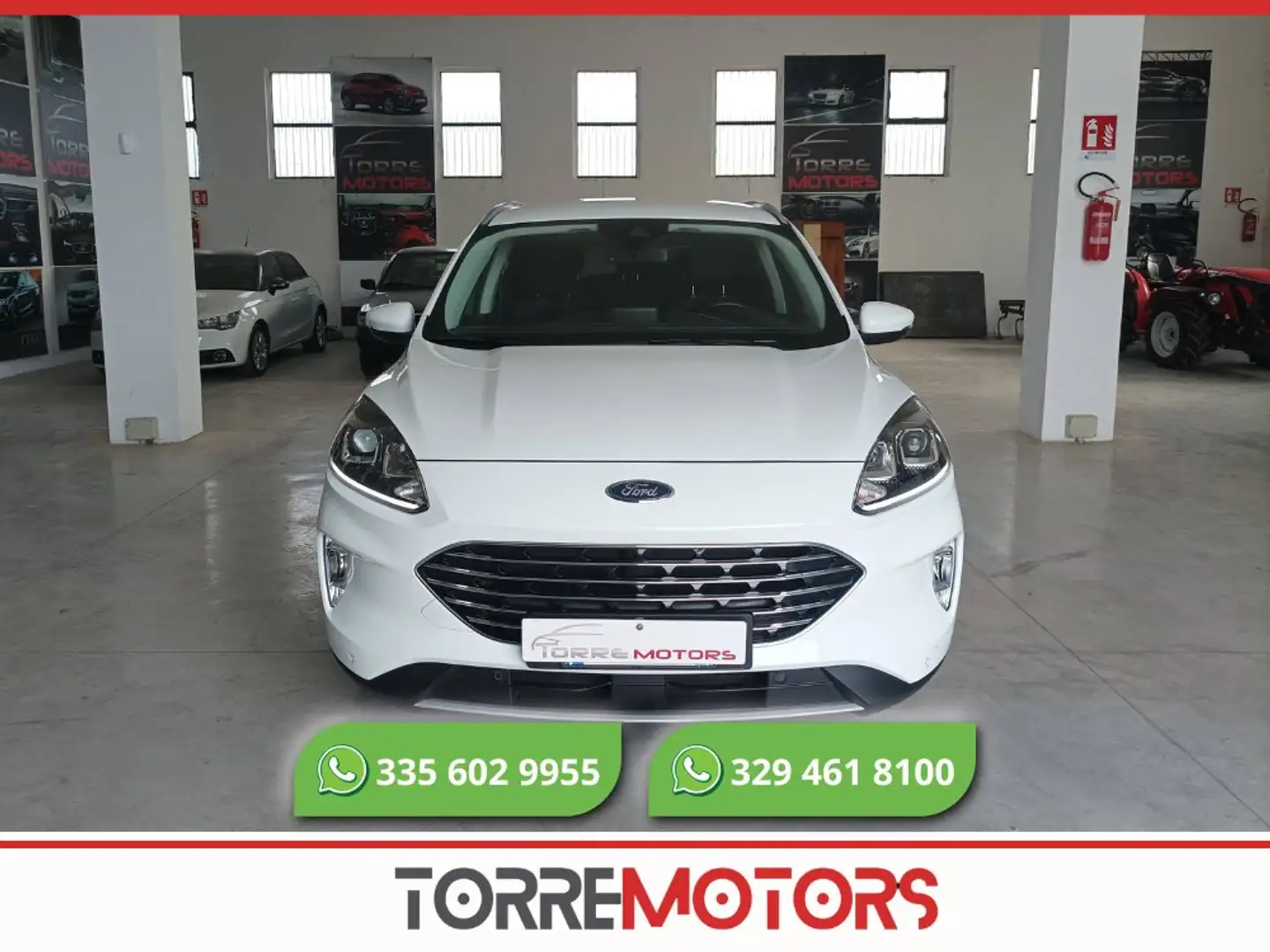 Ford Kuga Kuga 1.5 ecoblue Titanium 2wd 120cv Blanco - 1