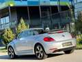 Volkswagen Beetle Cabrio 1,6 TDI BMT Design Silber - thumbnail 12