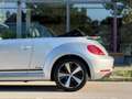 Volkswagen Beetle Cabrio 1,6 TDI BMT Design Silber - thumbnail 13