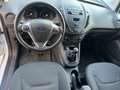 Ford Transit Courier 1,0 EcoBoost Trend - thumbnail 13