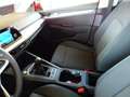 Volkswagen Golf Golf 2,0 TDI Rabbit Rot - thumbnail 14
