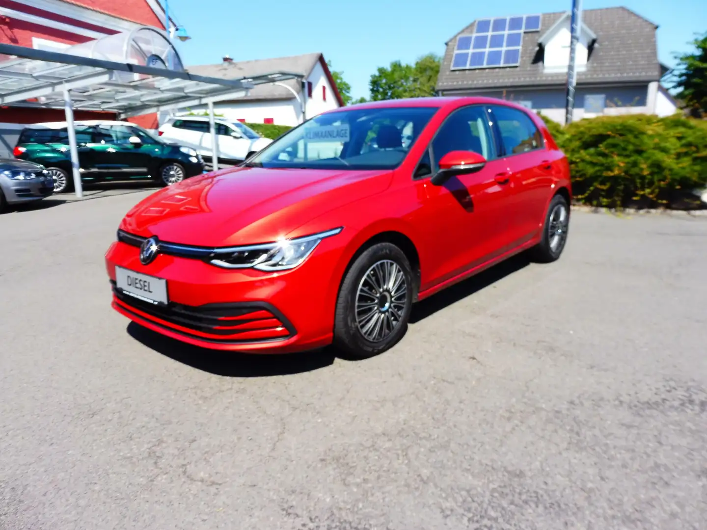 Volkswagen Golf Golf 2,0 TDI Rabbit Rot - 2