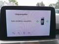 Ford Kuga 1,5 EcoBlue Titanium Silber - thumbnail 28