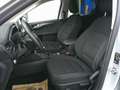 Ford Kuga 1,5 EcoBlue Titanium Silber - thumbnail 13