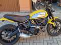 Ducati Scrambler icon 800 Jaune - thumbnail 3