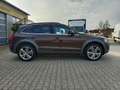 Audi Q5 3,0 TDI quattro DPF S-tronic *Offroad Paket*AHV... Braun - thumbnail 5