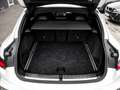 BMW X4 xDrive25d M SPORT X+PANO+ACC+HuD+HiFi+DA+PA Wit - thumbnail 15