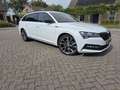 Skoda Superb Superb 2.0 TSI 4x4 sportline pano/trekhaak Wit - thumbnail 8