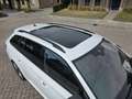 Skoda Superb Superb 2.0 TSI 4x4 sportline pano/trekhaak Wit - thumbnail 9