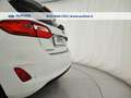 Ford Fiesta 5p 1.5 ecoblue Titanium 85cv s&s my20.25 Bianco - thumbnail 9