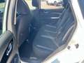 Nissan Qashqai 1.5 dCi 115 CV DCT Business Wit - thumbnail 6
