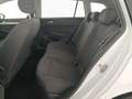 Volkswagen Golf Variant Life TDI DSG Weiß - thumbnail 25