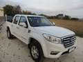 Great Wall Steed 6 DC 2.4 Business Gpl 4wd Weiß - thumbnail 2