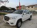 Great Wall Steed 6 DC 2.4 Business Gpl 4wd Weiß - thumbnail 1