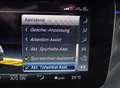 Mercedes-Benz S 63 AMG S63 AMG 4M+ MAGNO NiGHT *CERAMiC*CARBON*PANORAMA Gris - thumbnail 12