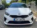 Kia Ceed / cee'd Ceed 1.6 T-GDI DCT7 OPF GT Weiß - thumbnail 4