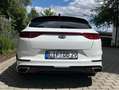 Kia Ceed / cee'd Ceed 1.6 T-GDI DCT7 OPF GT Weiß - thumbnail 6