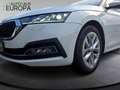 Skoda Octavia Combi 2.0 TDI DSG Style ACC Navi HUD Kam SHZ eSitz Weiß - thumbnail 6