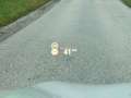BMW X5 X5 xDrive45e M Sport*AHK*RCam*Sh*Laser... Weiß - thumbnail 35