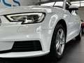Audi A3 SPB 30 1.6 tdi Business 116CV s-tronic Bianco - thumbnail 5