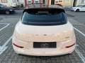 Ora Funky Cat 400 PRO 1-HD MwSt. Sonderfarbe Beige - thumbnail 4