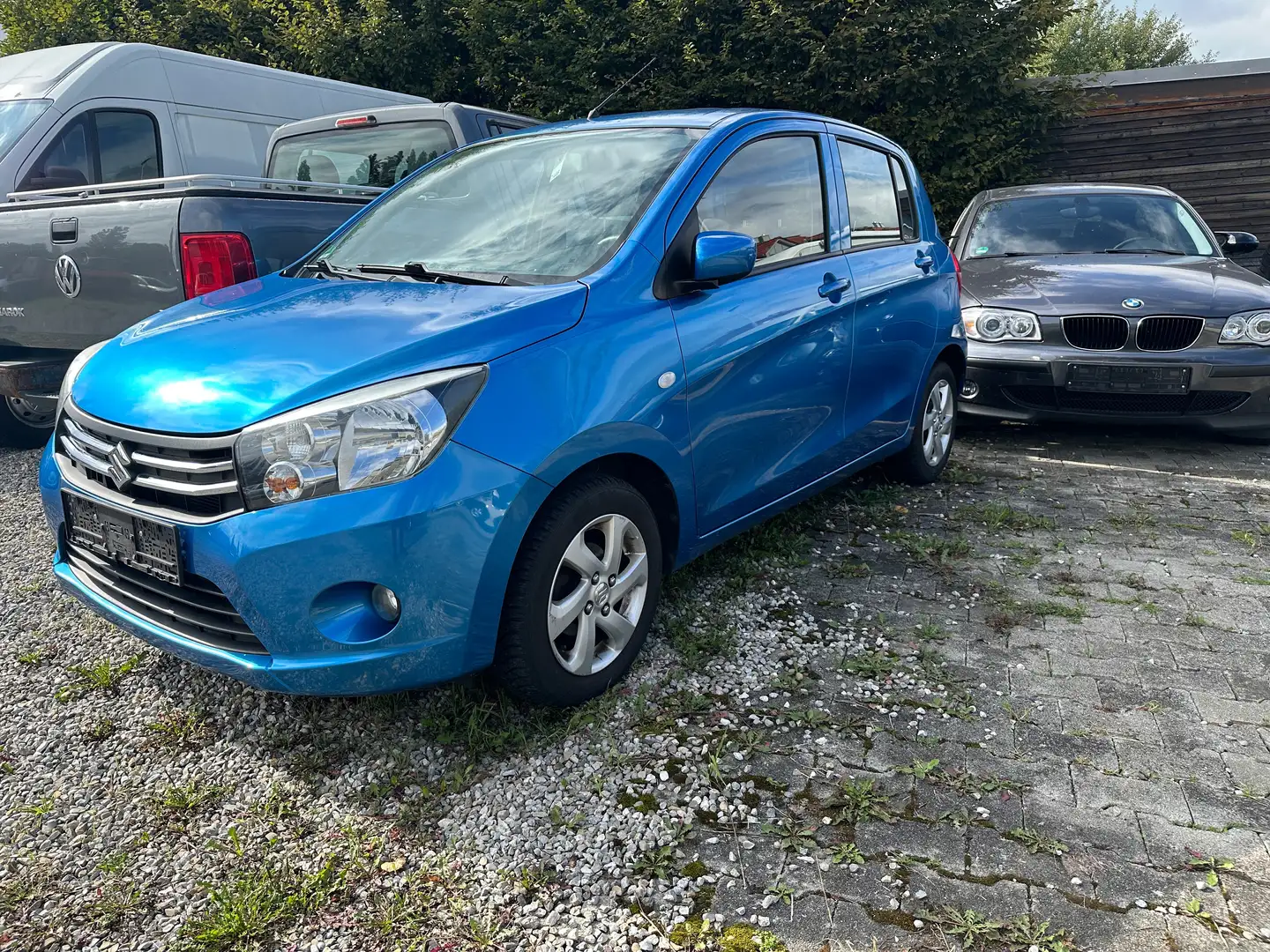 Suzuki Celerio Basis Blau - 1