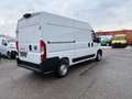 Fiat Ducato Maxi L2H2 140 Schwingsitz 4Jahre Garantie Weiß - thumbnail 5
