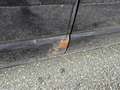 Volkswagen T5 Multivan Trendline Schwarz - thumbnail 25